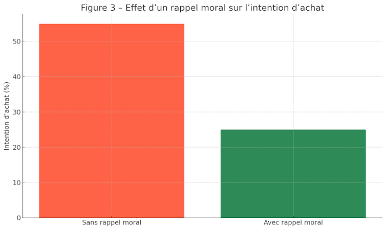 Falsification of Luxurious Merchandise Vuitton, Saint Laurent, Chanel or Hermes ... Why Social Drive prevails over ethical 3 file 20250701 68 ab5lgu.png?ixlib=rb 4.1