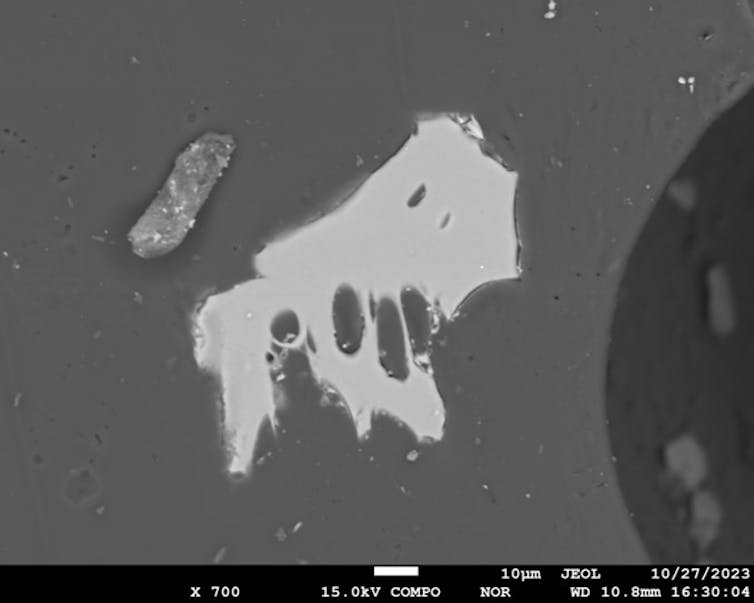 black and white image of a lighter grey blob with a few dark spots on it against a darker grey background