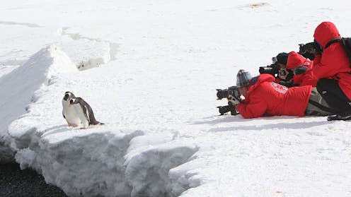 More and more tourists are flocking to Antarctica. Let’s stop it from being loved to death
