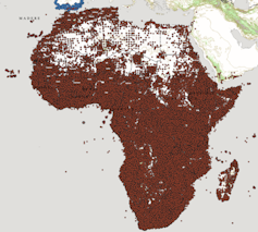 A white map of Africa and Madagascar with many brown dots showing where plants have been found and documented for the African Plant Database
