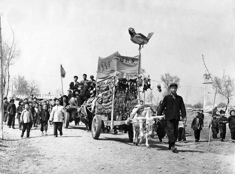 Black and white photo showing a cart filled with dead birds and a group of people marching alongside