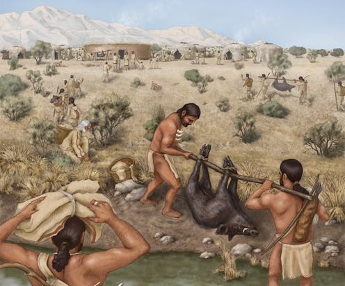 Guests at a feast in Iran’s Zagros Mountains 11,000 years ago brought wild boars from all across the land