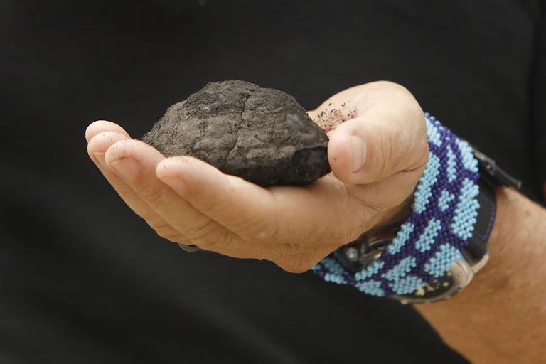 A man holds a potato-sized nodule brought up from the sea floor.