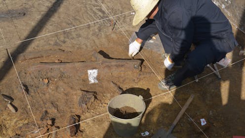 Rare wooden tools from Stone Age China reveal plant-based lifestyle of ancient lakeside humans