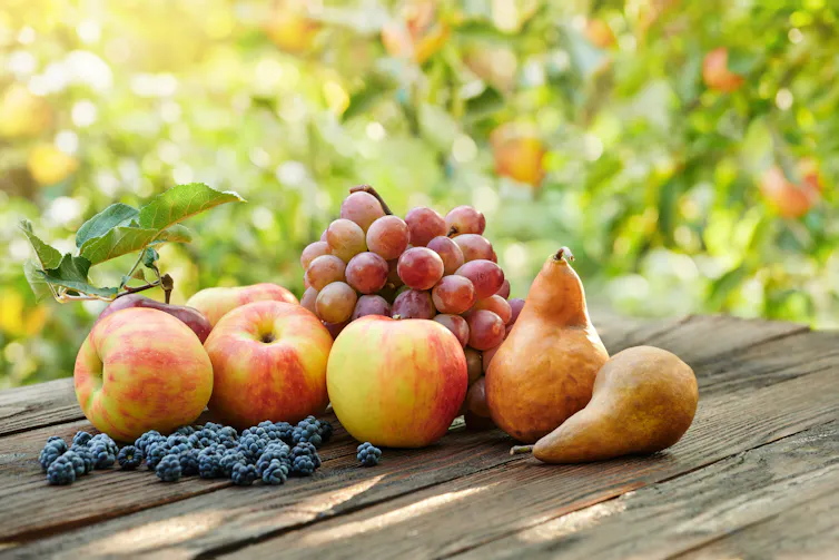 Maçãs, peras, uvas e amoras em uma mesa de madeira com fundo de jardim.