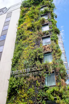 A wall covered in lush vegetation.