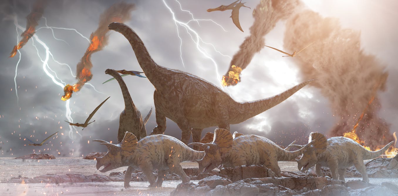 Polémica científica: ¿y si las cinco grandes extinciones masivas no fueron tales?