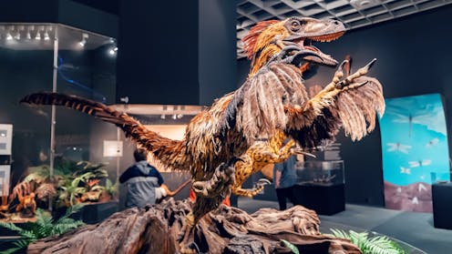 Si si mund të zbulohet pamja e dinosaurëve duke pasur vetëm eshtrat e tyre?