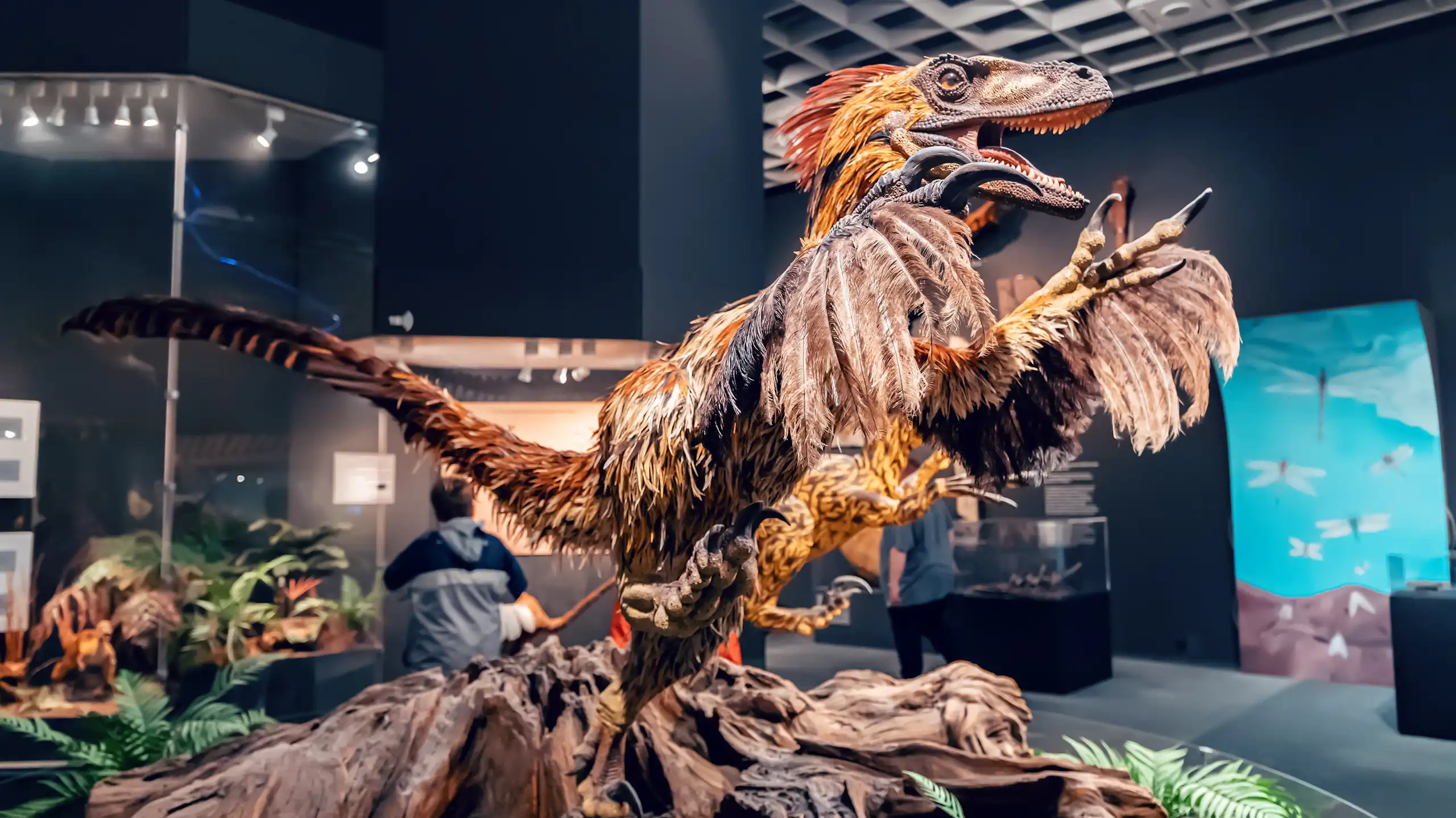 Reconstrucción de un dinosaurio con aspecto fiero y plumas.