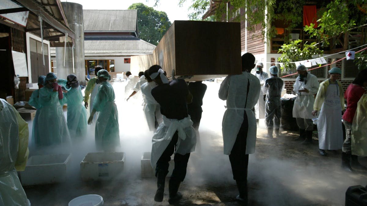 Boxing Day Tsunami Heralded New Era Of Citizen Journalism