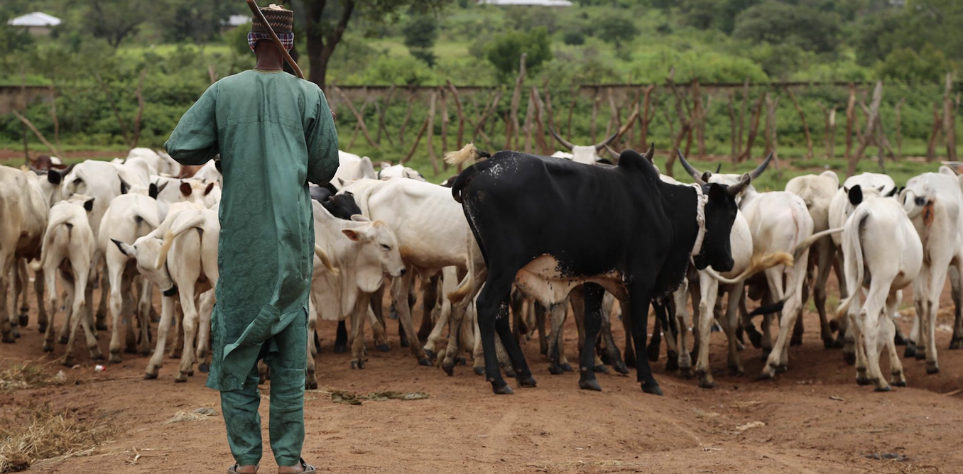 Africans survived 10,000 years of climate changes by adapting food systems – study offers lessons for modern times Africans survived 10,000 years of climate changes by adapting food systems – study offers lessons for modern times