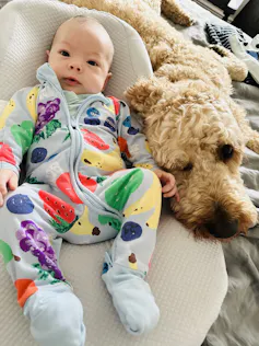 Big fluffy dog nuzzles baby in colourful jumpsuit.