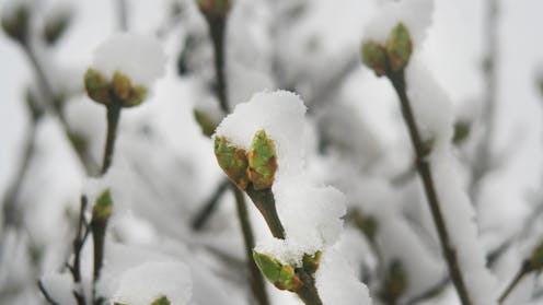 Kevin Brophy’s affecting poems mine loss, luck and acceptance