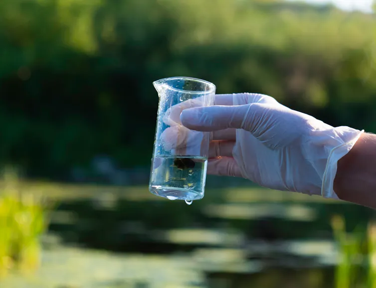 gloved hand holding glass jug with water sample, river in background