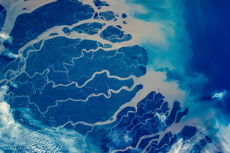 A satellite view of a river delta.