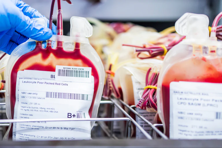 Blood bags with one being held by a gloved hand.