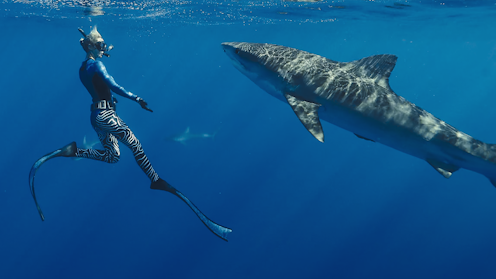 Netflix’s Shark Whisperer wants us to think ‘sexy conservation’ is the way to save sharks – does it have a point?