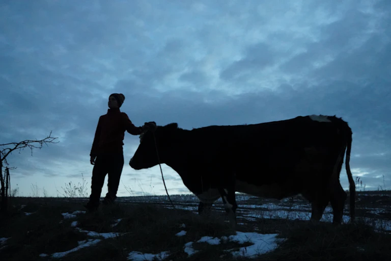 Against a night sky a person holds a cow's head.