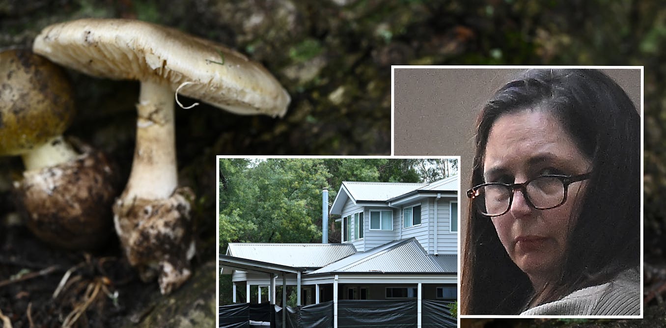 Several books on the mushroom trial are already cooking. What are the risks and rewards of fast books on big news?‘