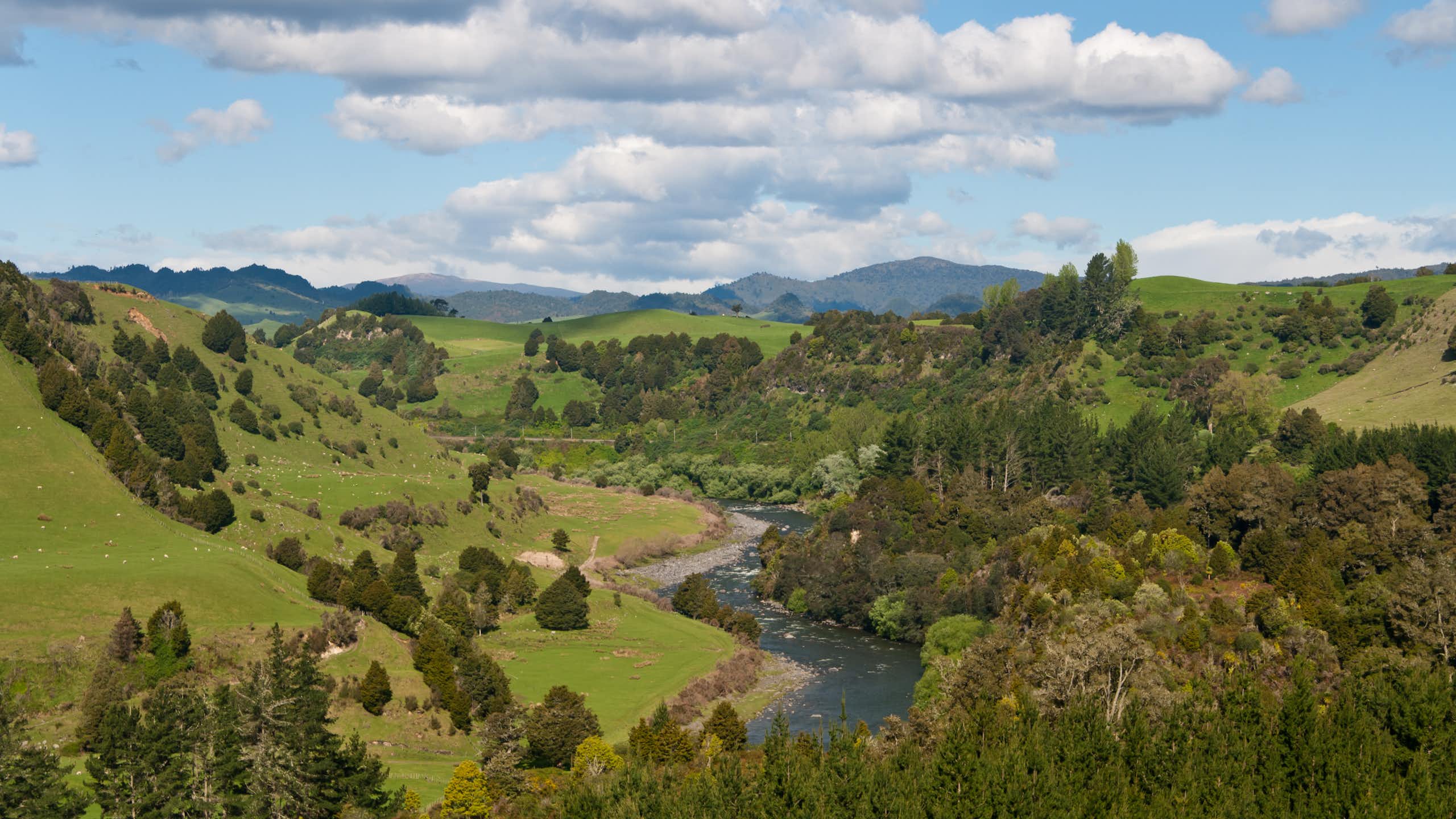 A view of a landscape with trees, hills and a river.