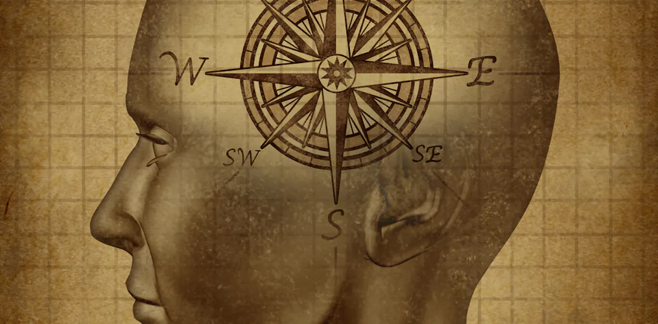 Found: the missing part of brain’s ‘internal compass’