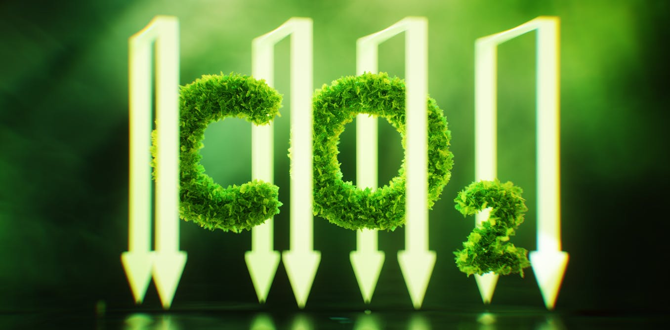 Nuevas reglas para fomentar la captura de carbono y alcanzar el objetivo de cero emisiones