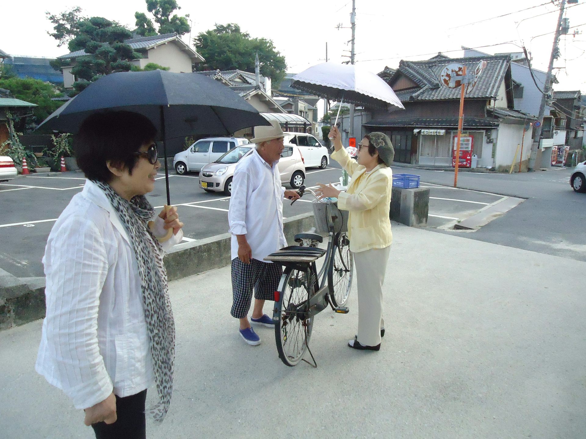 Japanese women hold umbrellas and talk to man with bike.