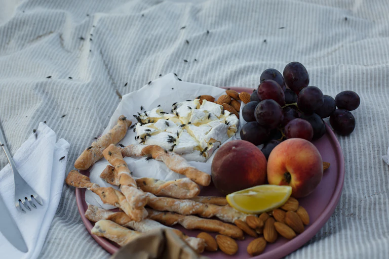 Black flies stuck to food at a picnic