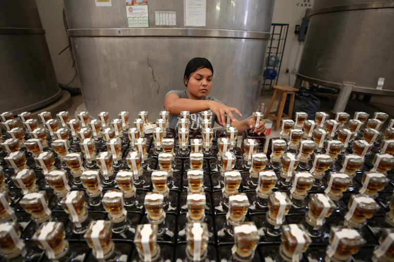 A young woman arranges bottled tequila in a factory.