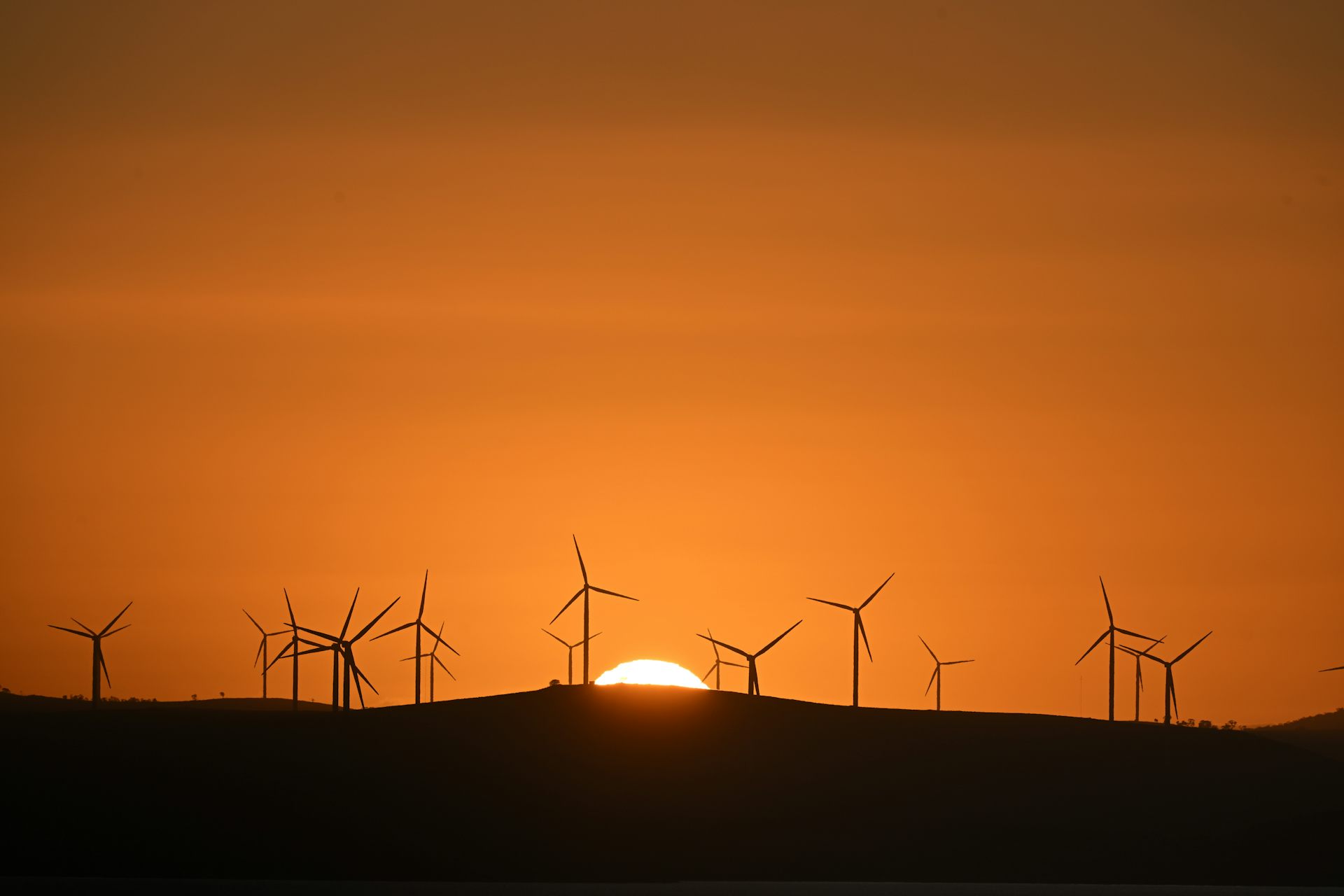 a wind farm against a setting sun