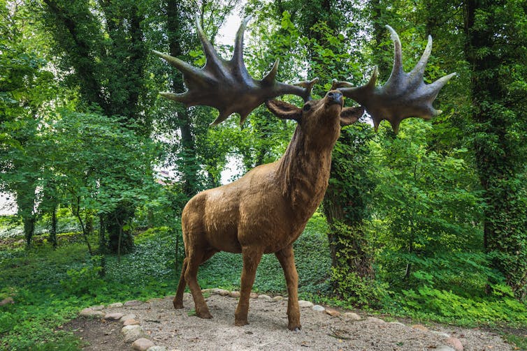 Model of Iirsh elk.