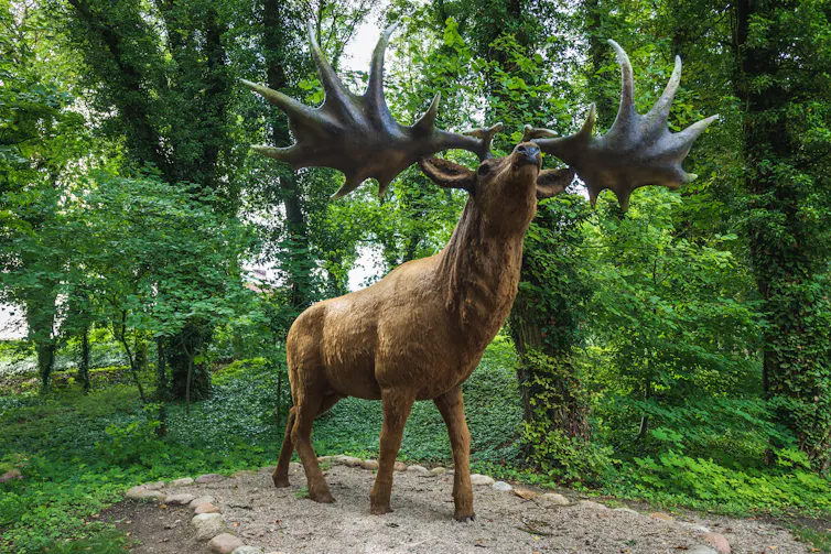 Model of Iirsh elk.
