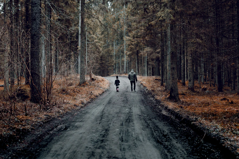 Two people walk through the forest on a paved road