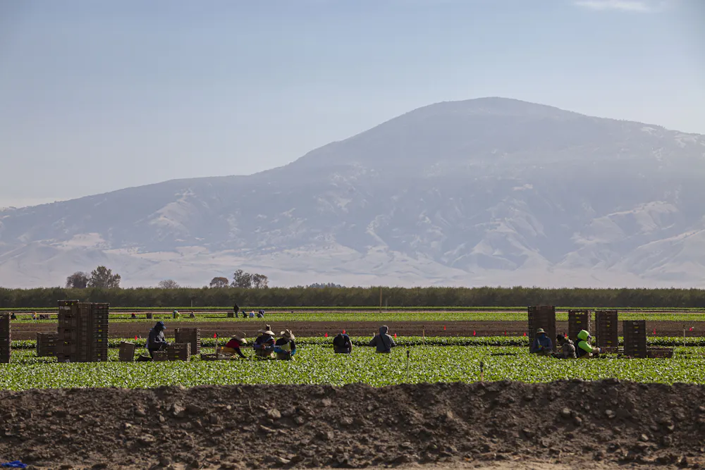 California farmers identify a hot new cash crop: Solar power - Gulf ...