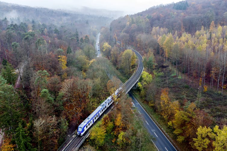 a train moving through a wooded area