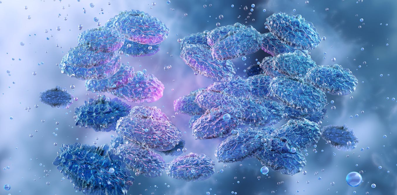 Afrin roy www xxx i have seen Olivia three times, however