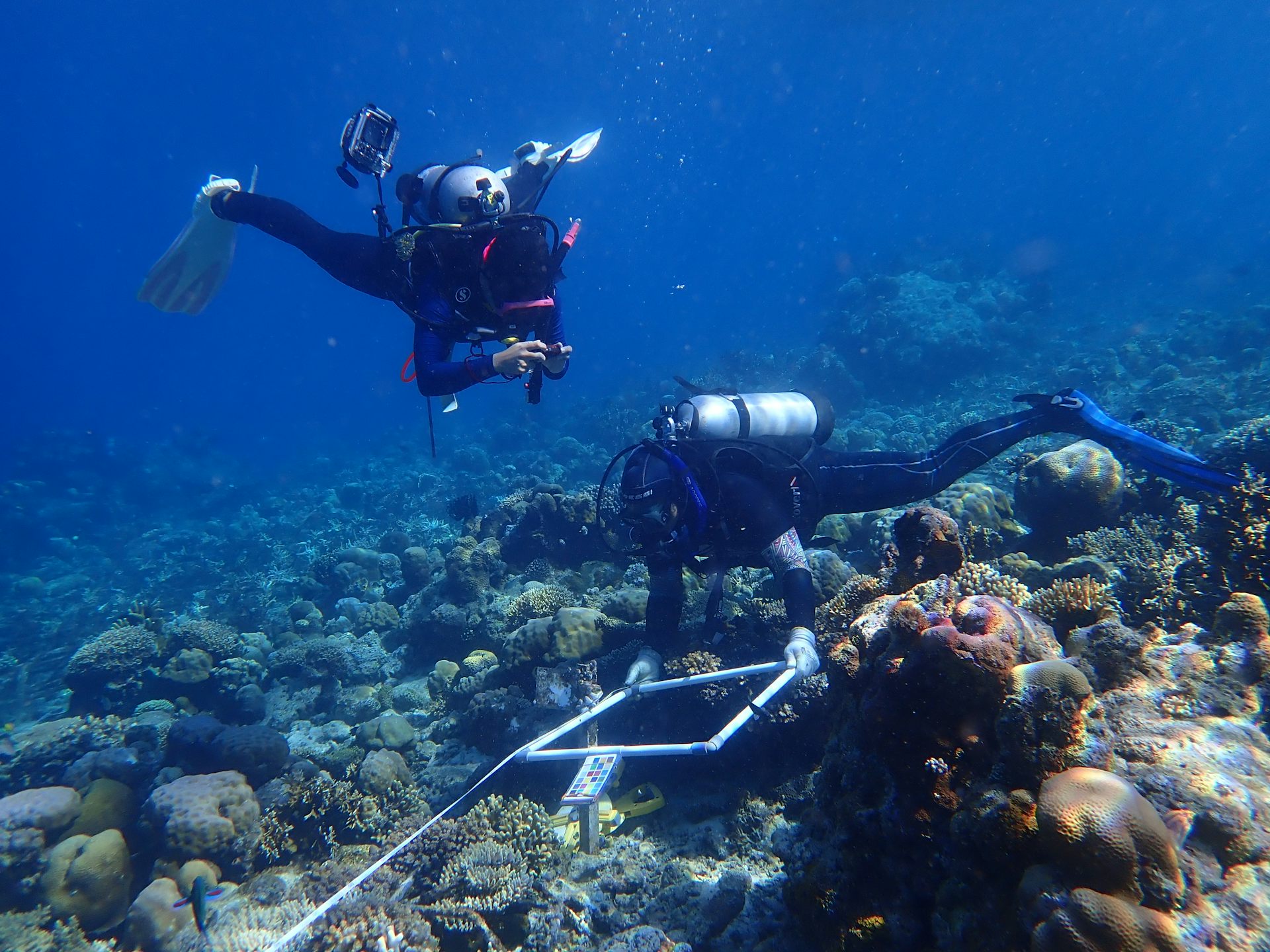 file 20250715 56 8bd45x.JPG?ixlib=rb 4.1