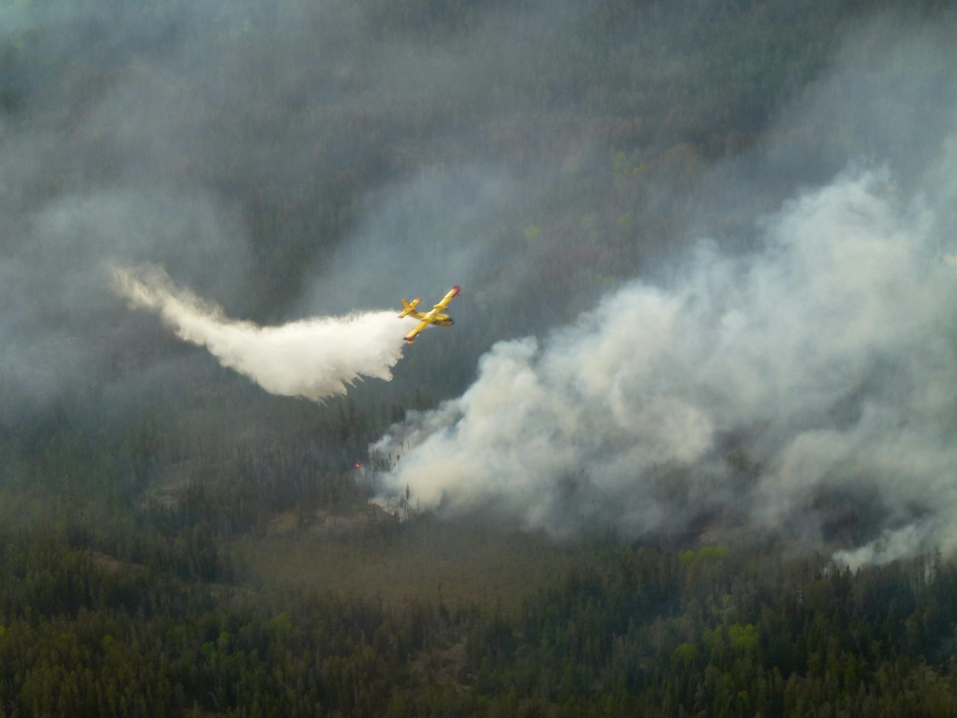 El avión cae agua en el espacio forestal cubierto de humo plumem
