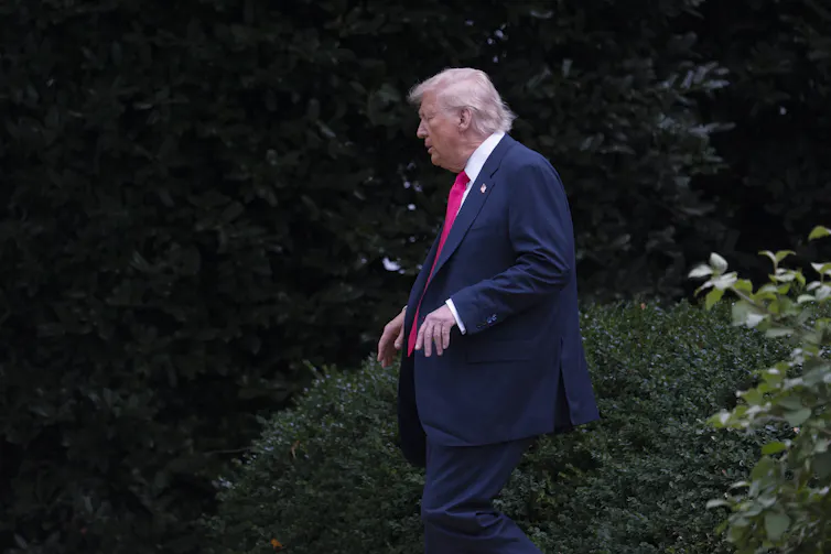 A rotund man in profile walking past shrubs with his small hands sagging as he walks.