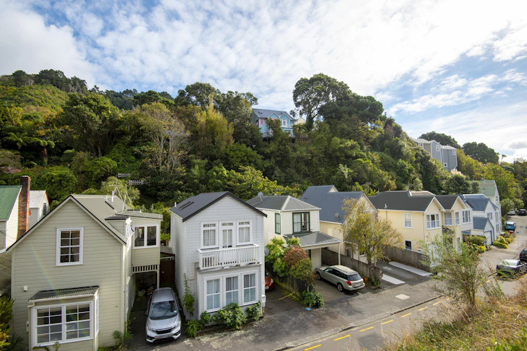 Houses in Wellington