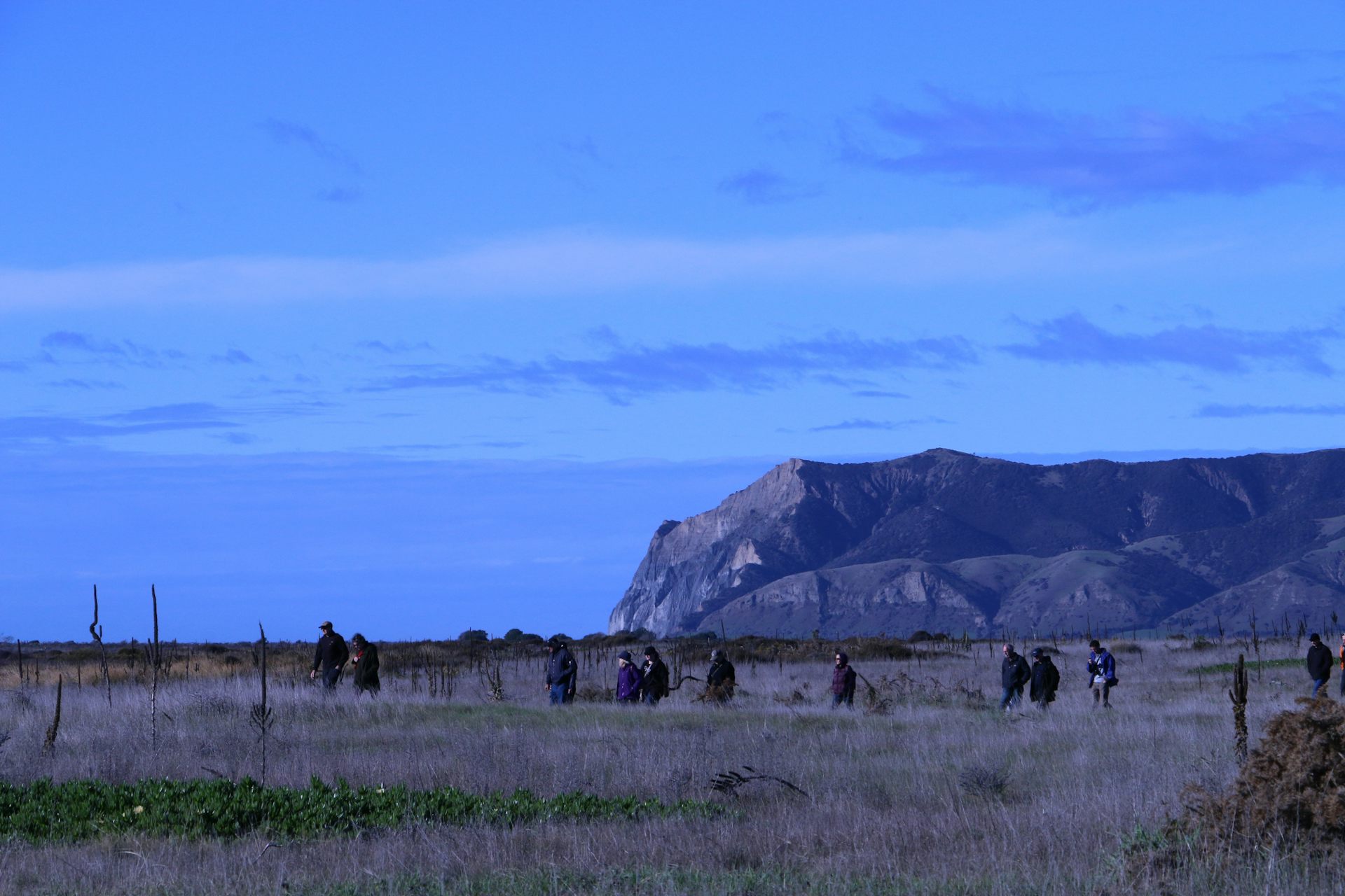 A group walking along at Wairau Bar