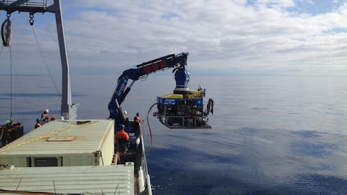 Microbes in deep-sea volcanoes can help scientists learn about early life on Earth, or even life beyond our planet