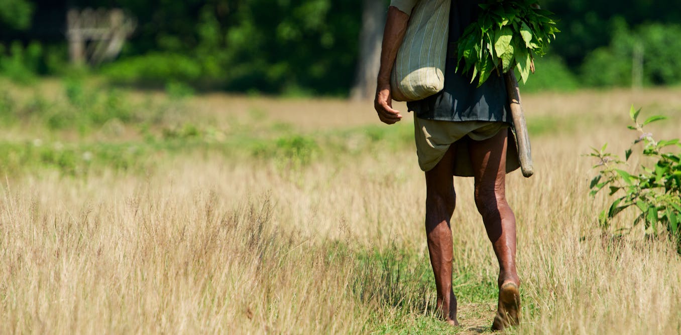 Has extreme poverty plunged since the 1980s? New analysis suggests not