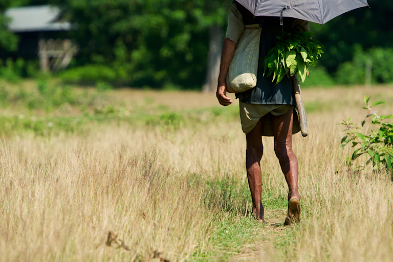 bare legs and feet of a nepalese man walking through a field