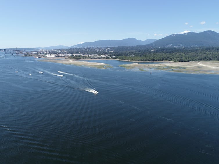 Fotografía aérea de botes en una fila navegable con una costa arenosa con montañas en el fondo
