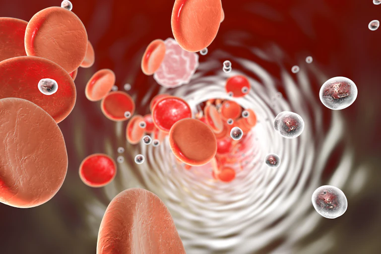 Imagen médica donde se ven pequeñas partículas y glóbulos rojos en forma de disco