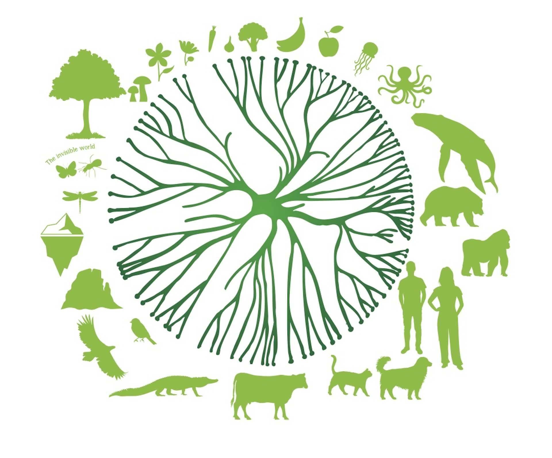 file 20250717 66 51vdfp.jpg?ixlib=rb 4.1