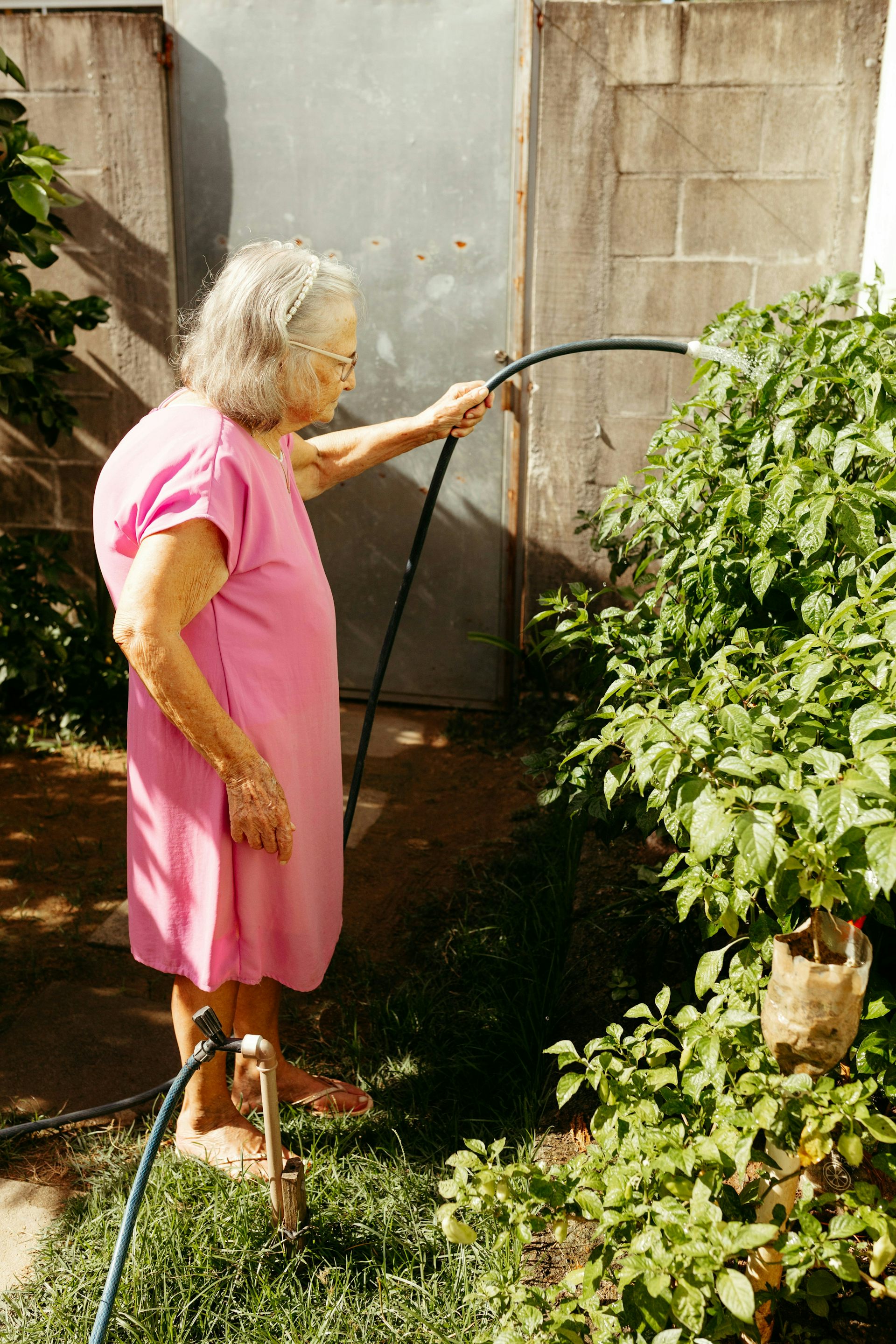 Une femme âgée en train d’arroser des plantes dans un jardin