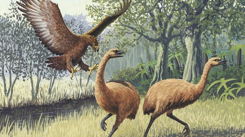 Loup sinistre, souris laineuse dhe moa: përpjekja për ringjalljen e specieve në një mjedis ekonomik të paqëndrueshëm është shumë e rrezikshme