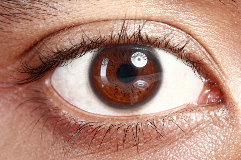 Close up picture of brown eyes from a young man/